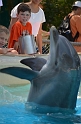 Kids_SeaWorldSA-2013 (83)
